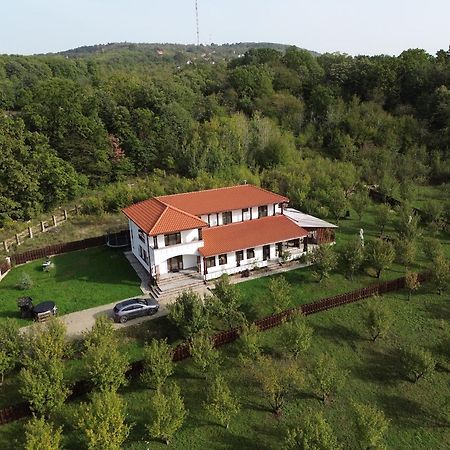 Pensiunea Emelys, Iasi Barnova Exteriör bild