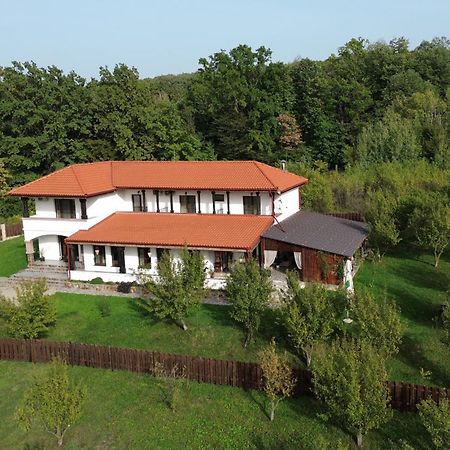 Pensiunea Emelys, Iasi Barnova Exteriör bild