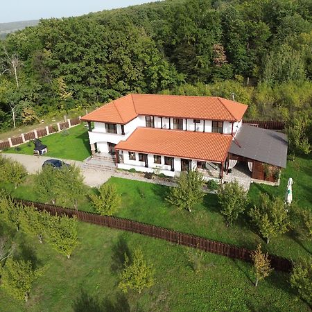 Pensiunea Emelys, Iasi Barnova Exteriör bild