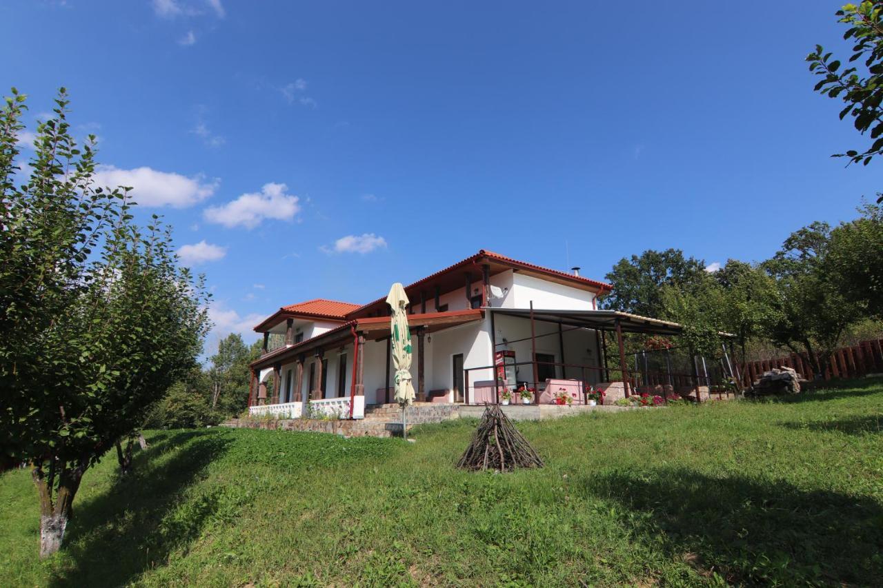 Pensiunea Emelys, Iasi Barnova Exteriör bild