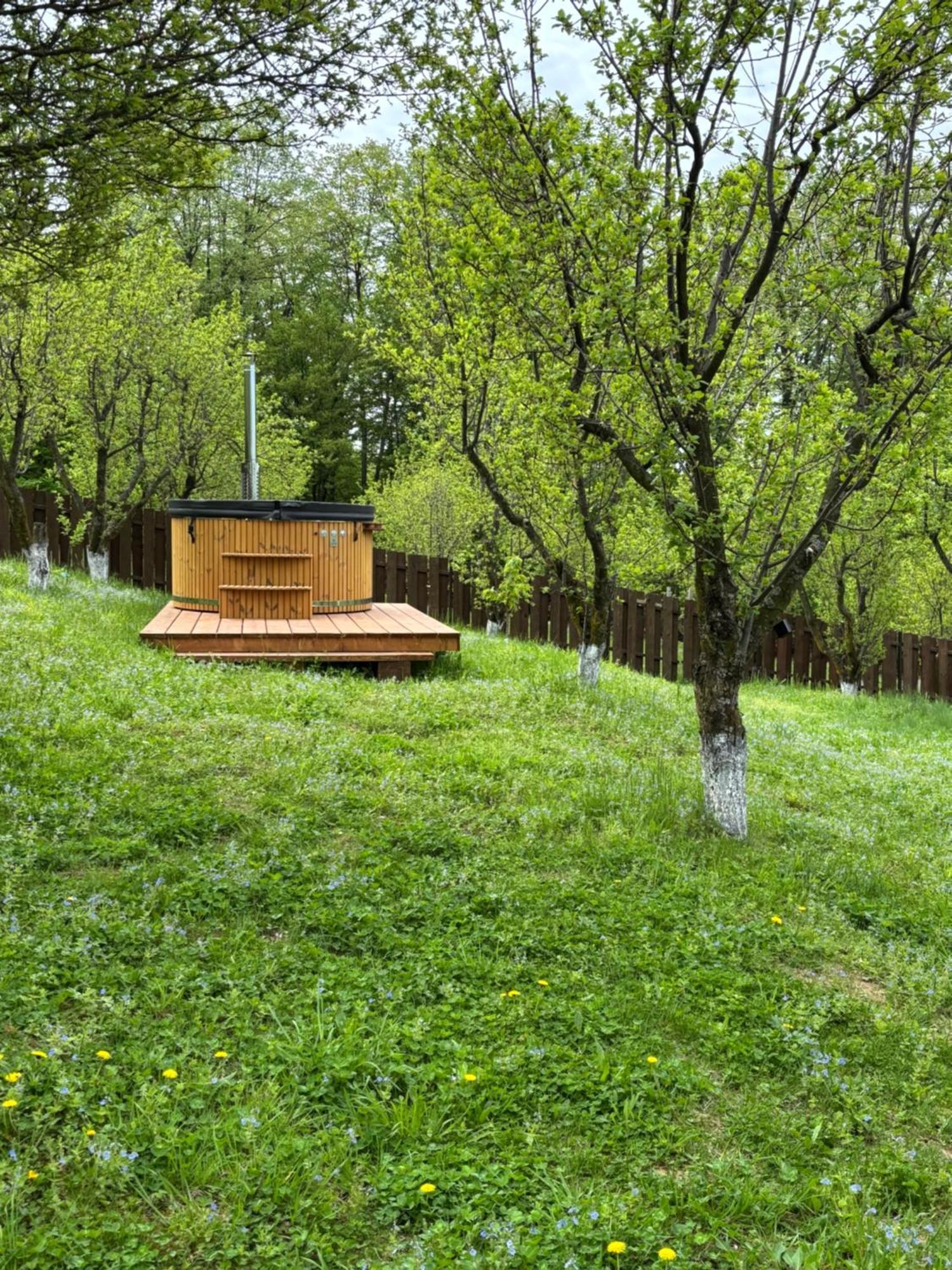 Pensiunea Emelys, Iasi Barnova Exteriör bild