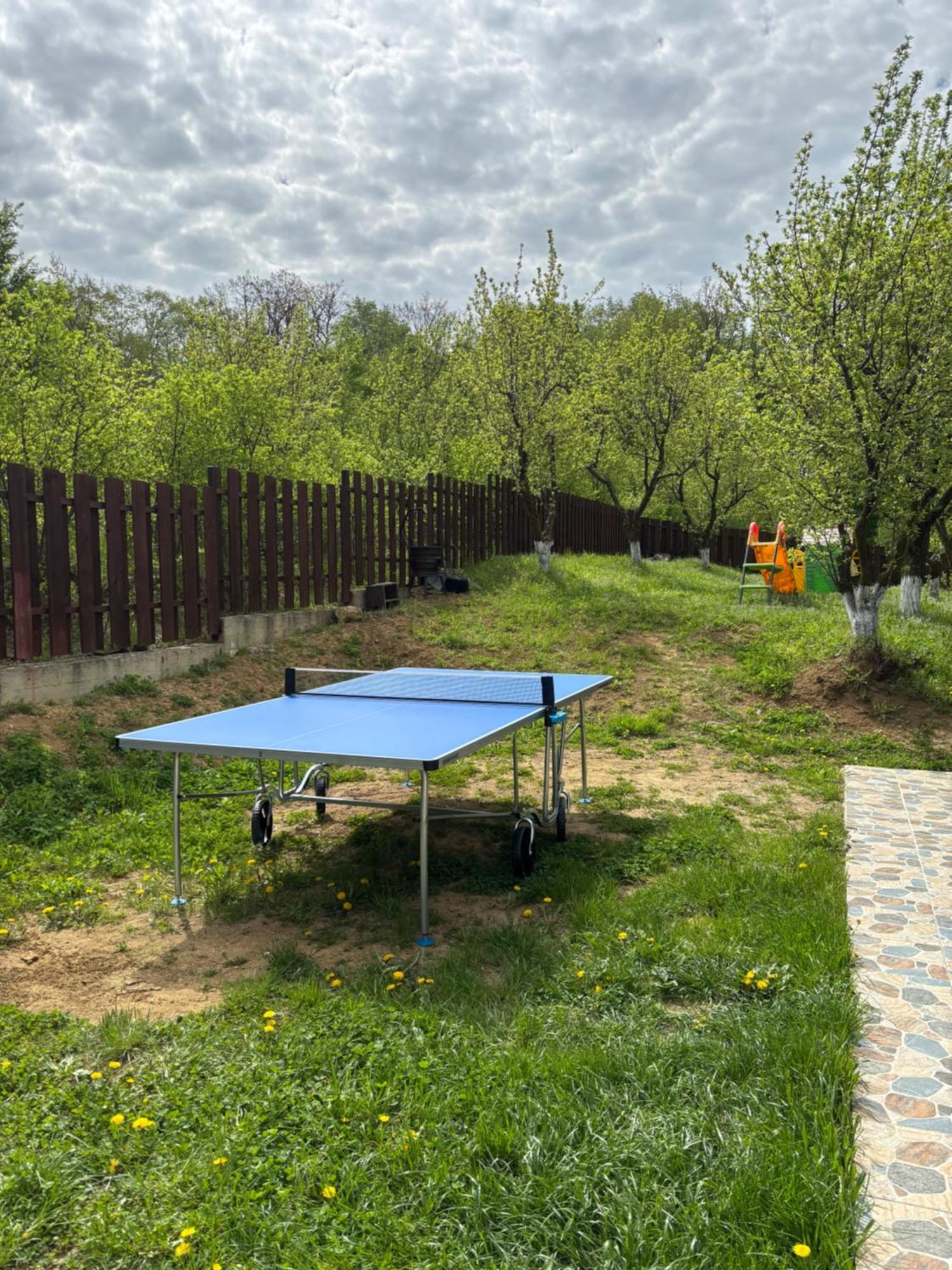 Pensiunea Emelys, Iasi Barnova Exteriör bild